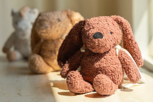 Gratis Teddy zu jedem Bundle-Kauf